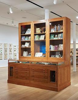 Mark Dion William Beebee Cabinet (DTR) 2017 wood c...