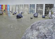 Sarah Sze