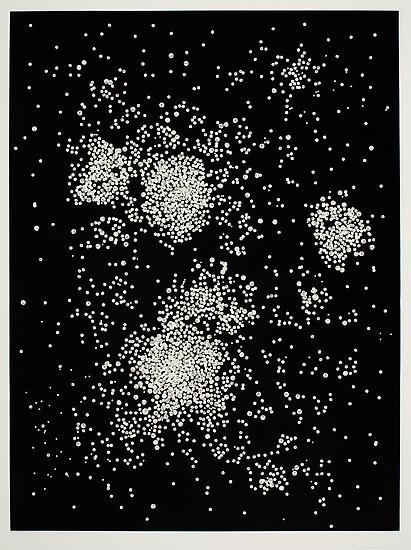 Rivane Neuenschwander One Thousand and One Possibl...