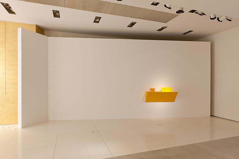 Haim Steinbach Forsythia PLS5/2SB 2010 plastic lam...