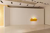 Haim Steinbach Forsythia PLS5/2SB 2010 plastic lam...