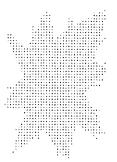 Jack Strange A Gorilla Called Kiwi 2011 ink...