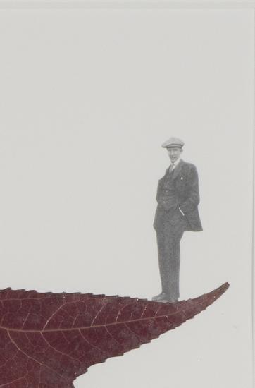 Peggy PREHEIM Venus in Capricorn (detail) 2014 mix...