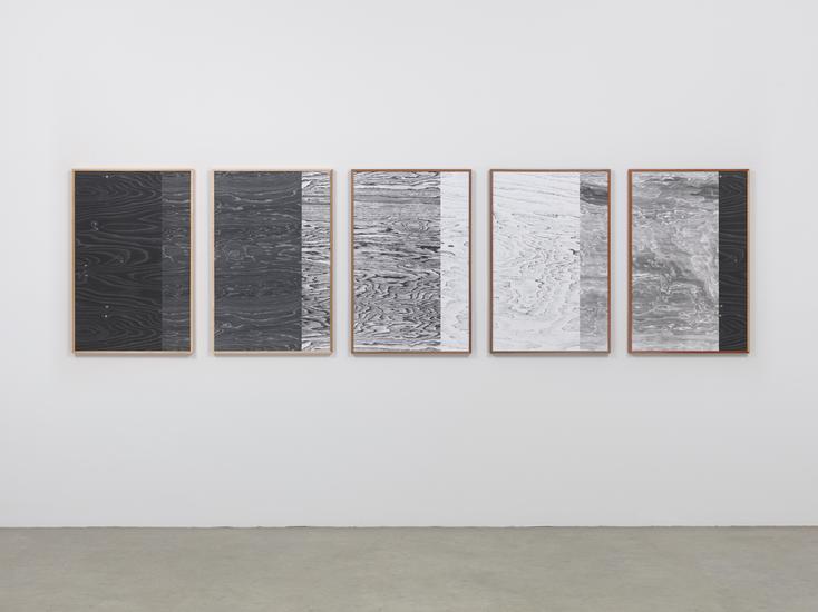Lisa Oppenheim Landscape Portraits (Some North Ame...