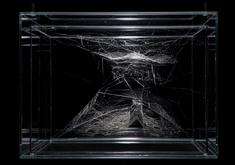 Tomás Saraceno in conversation with Leila W. Kinn...