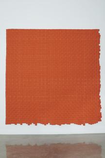 Rivane NEUENSCHWANDER C.R. (Judo Belt) 2015 100 co...