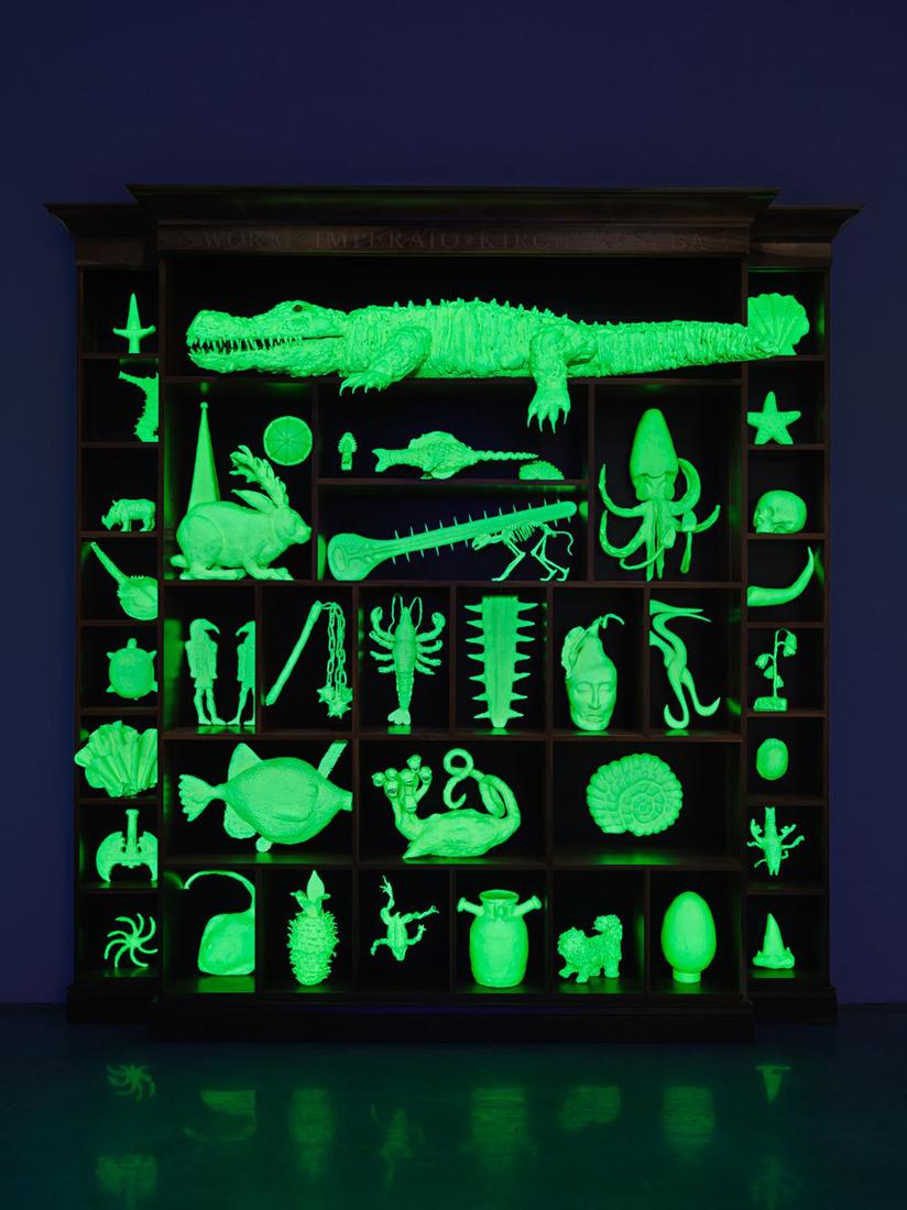 Mark DION The Phantom Museum (Wonder Workshop) 201...
