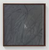 Lisa Oppenheim Lunagrams (Ann Craven) 14, 201...