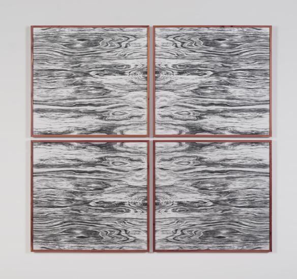 Lisa Oppenheim Landscape Portraits (Eastern Red Ce...