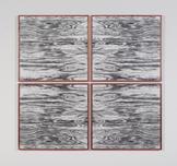Lisa Oppenheim Landscape Portraits (Eastern Red Ce...