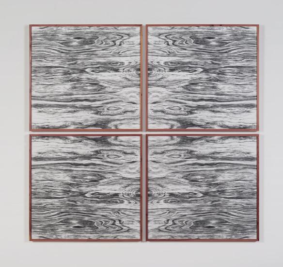 Lisa Oppenheim Landscape Portraits (Eastern Red Ce...