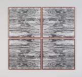 Lisa Oppenheim Landscape Portraits (Eastern Red Ce...