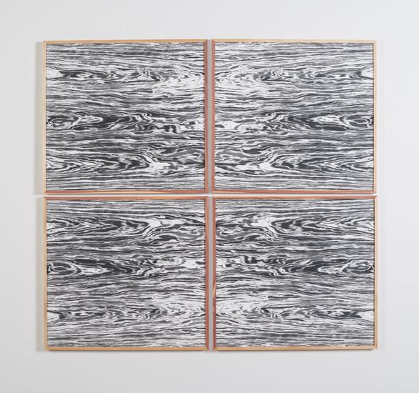 Lisa Oppenheim Landscape Portraits (Engineered Eas...