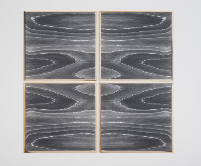 Lisa Oppenheim Landscape Portraits (Poplar) (Versi...