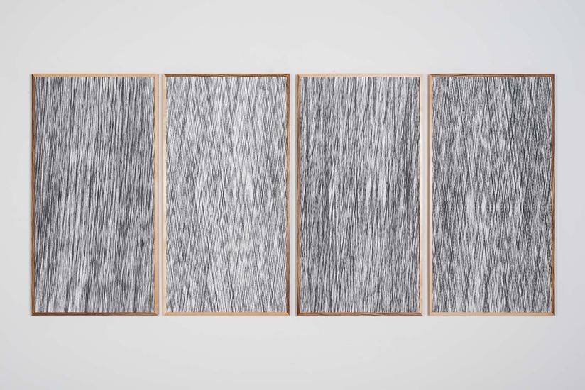 Lisa Oppenheim Landscape Portraits (Engineered Zeb...