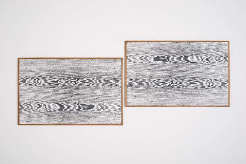 Lisa Oppenheim Landscape Portraits (Teak) (Version...