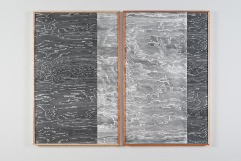 Lisa Oppenheim Landscape Portraits (Birdseye Maple...