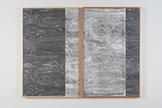 Lisa Oppenheim Landscape Portraits (Birdseye Maple...