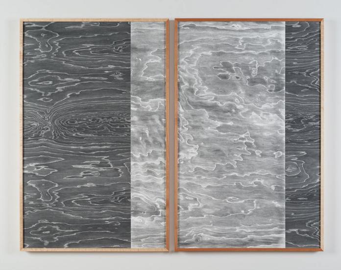Lisa Oppenheim Landscape Portraits (Birdseye Maple...