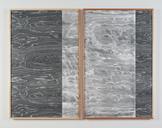 Lisa Oppenheim Landscape Portraits (Birdseye Maple...