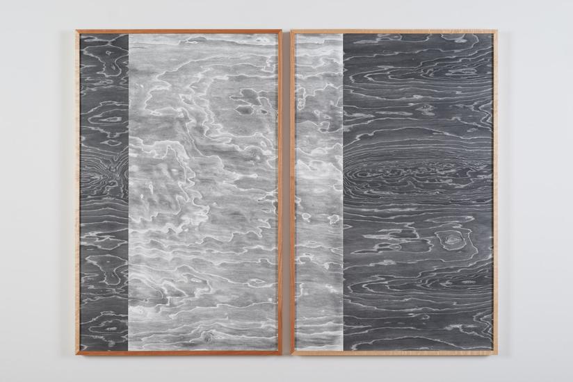 Lisa Oppenheim Landscape Portraits (Birdseye Maple...