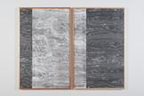 Lisa Oppenheim Landscape Portraits (Birdseye Maple...