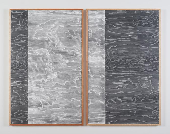 Lisa Oppenheim Landscape Portraits (Birdseye Maple...