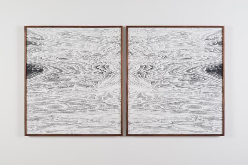 Lisa Oppenheim Landscape Portraits (Walnut) (Versi...