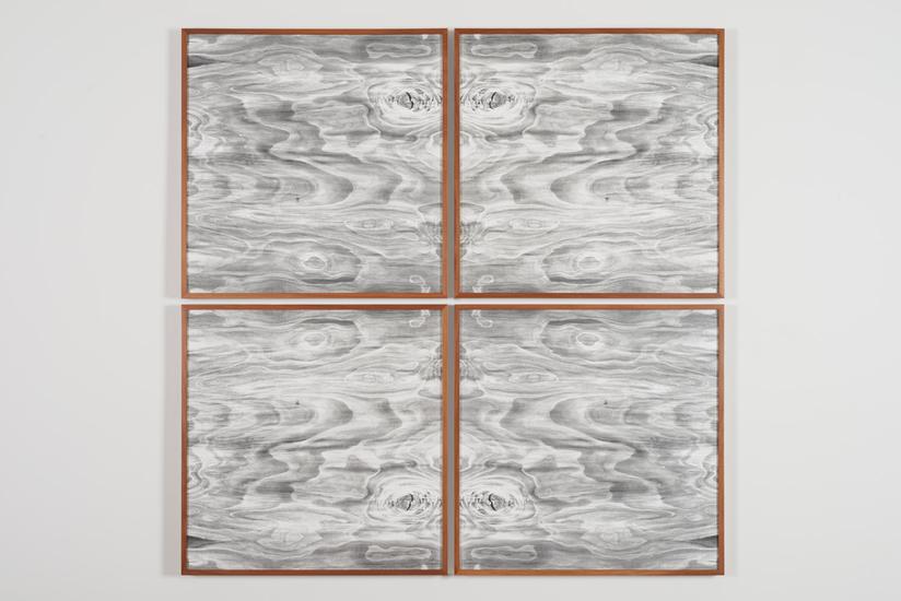 Lisa Oppenheim Landscape Portraits (Apple) (Versio...