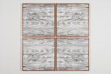 Lisa Oppenheim Landscape Portraits (Apple) (Versio...
