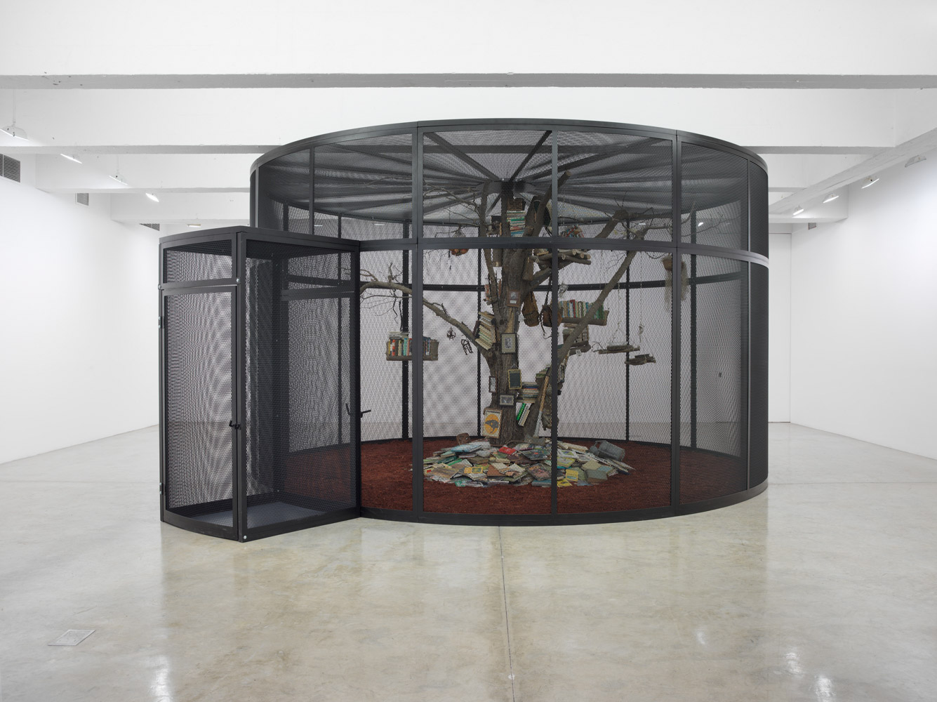 Mark DION The Library for the Birds of New York 20...