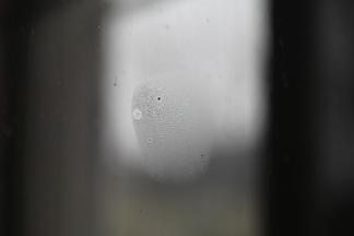 Susan PHILIPSZ Vernebelt I 2016 chromogenic print...