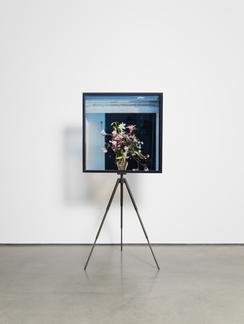 Sabine HORNIG Tripod 2016 metal, plexiglass, Durac...