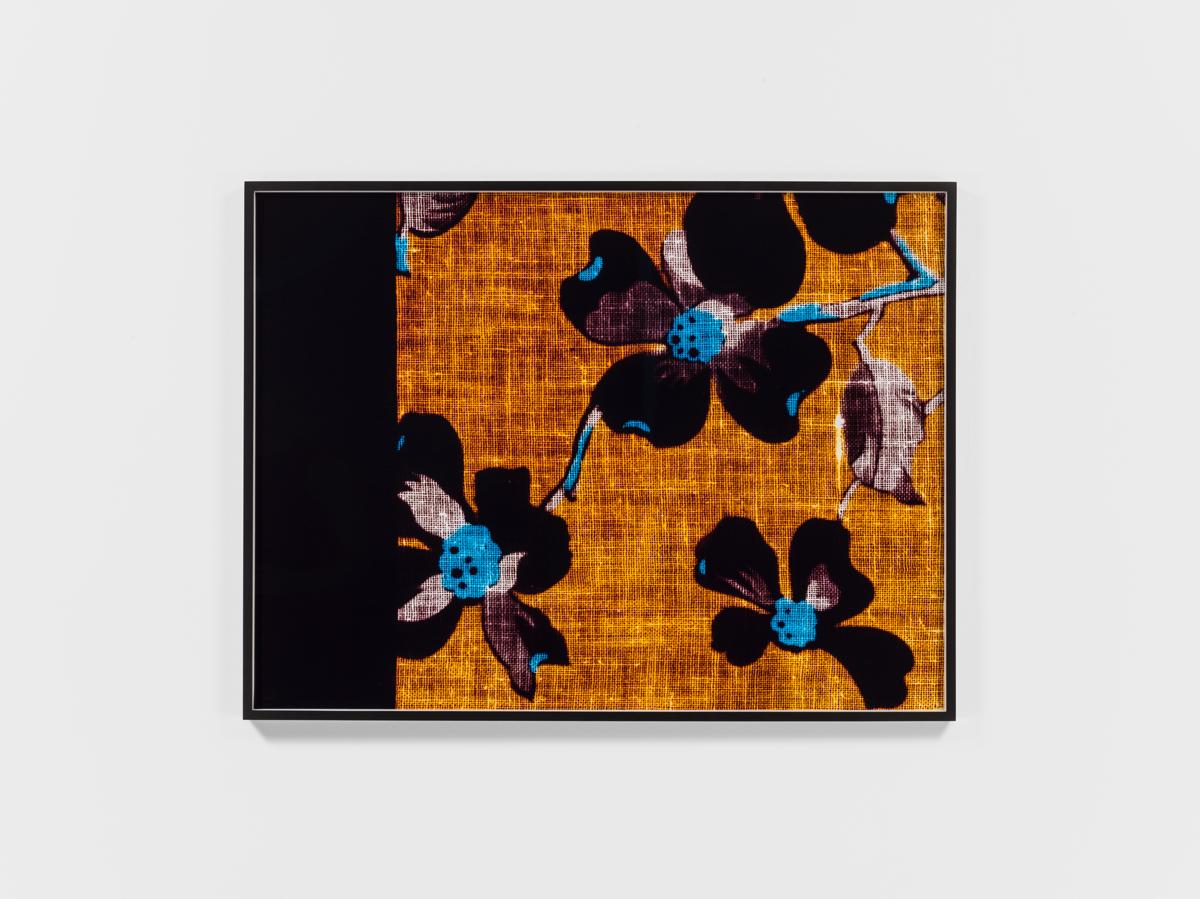 Lisa Oppenheim Remnant (Apple Blossoms) 2017 c-pri...