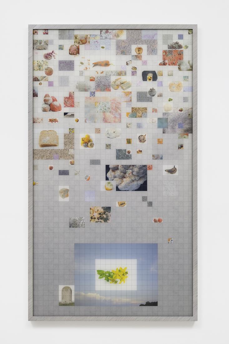 LIU Shiyuan Almost Like Rebar No. 5 2018 c-print i...