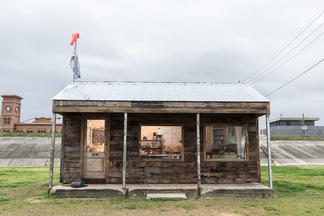 Mark Dion The Field Station of the Melancholy Mari...