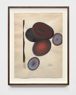 Dirk STEWEN STILLEBEN 2017 Gouache and watercolor...