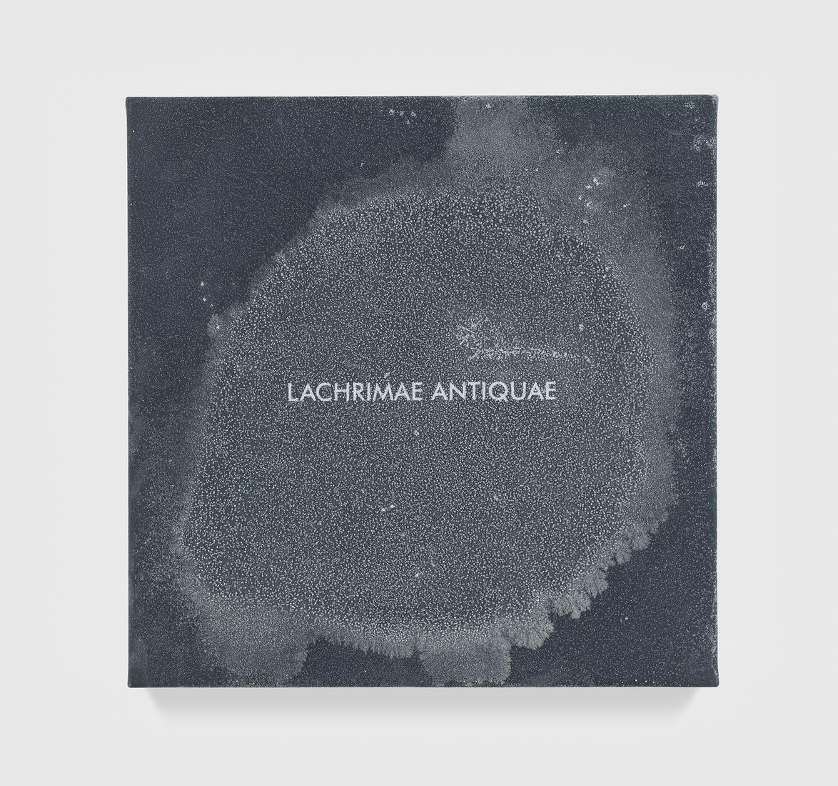 Susan PHILIPSZ LACHRIMAE ANTIQUAE XXII 2017 Acryli...