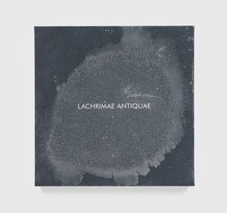 Susan PHILIPSZ LACHRIMAE ANTIQUAE XXII 2017 Acryli...