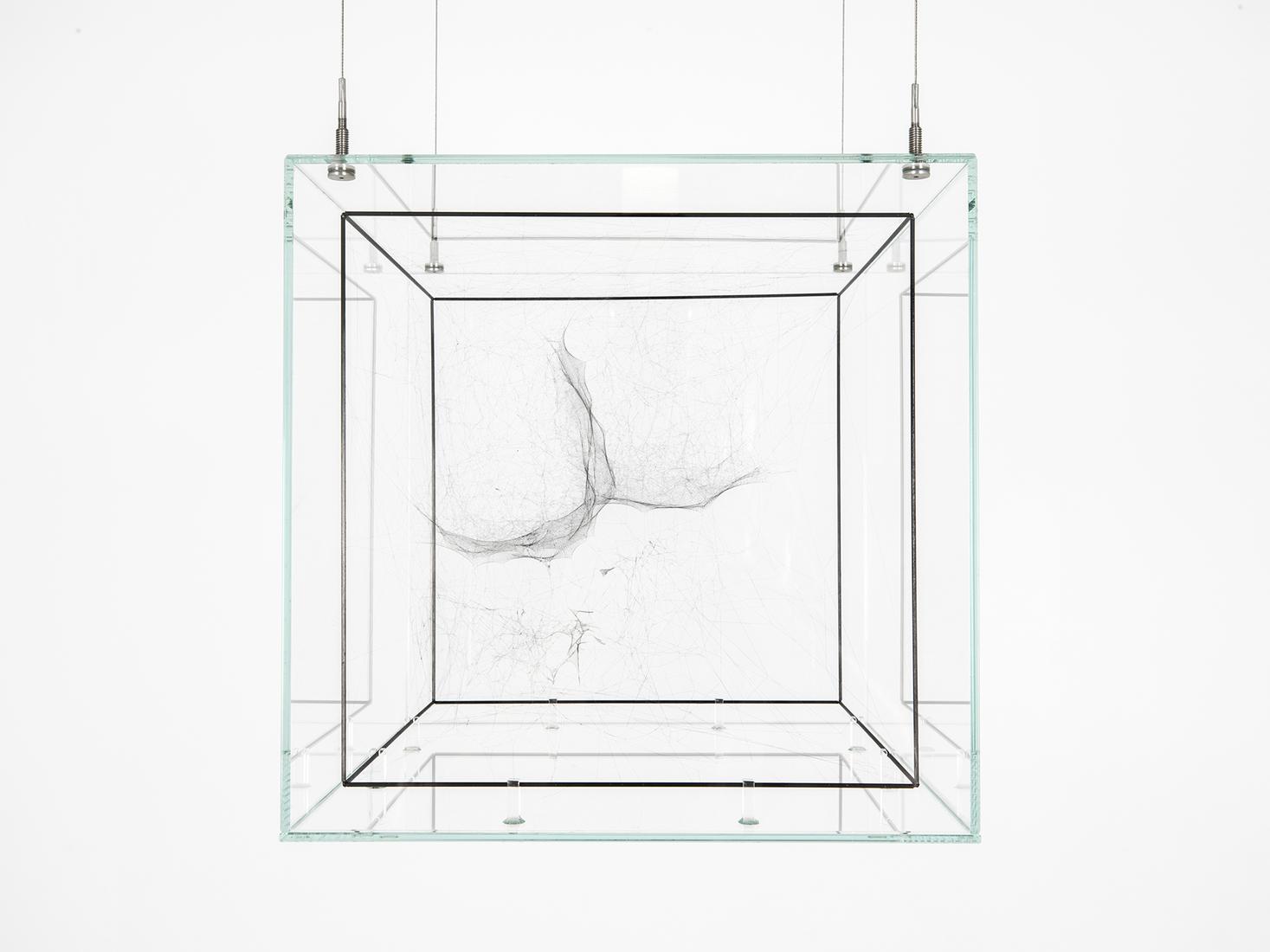 Tomás SARACENO Hybrid Dark semi-social Clus...