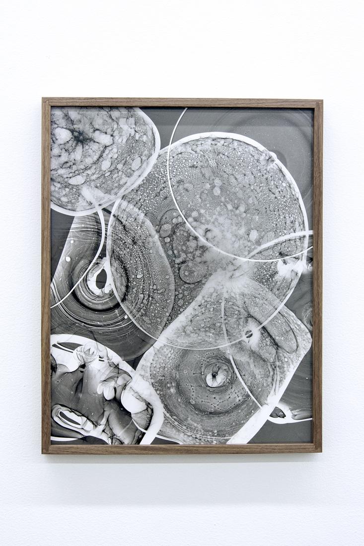 Kelly Akashi Lenses 2018 Silver gelatin photogram...