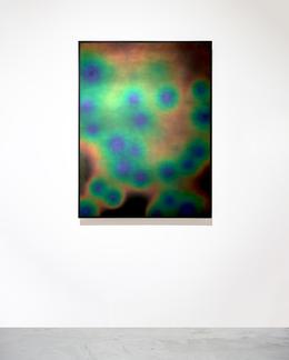 This is a work of Agnieszka KURANT's "Conversions...
