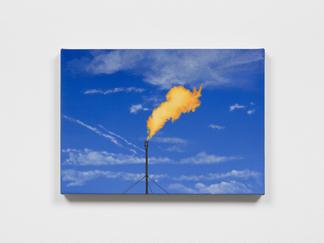 Dana POWELL Flare 2019 Oil on linen 10 x 14 inches...