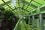 Mark DION Neukom Vivarium 2007 Mixed media install...