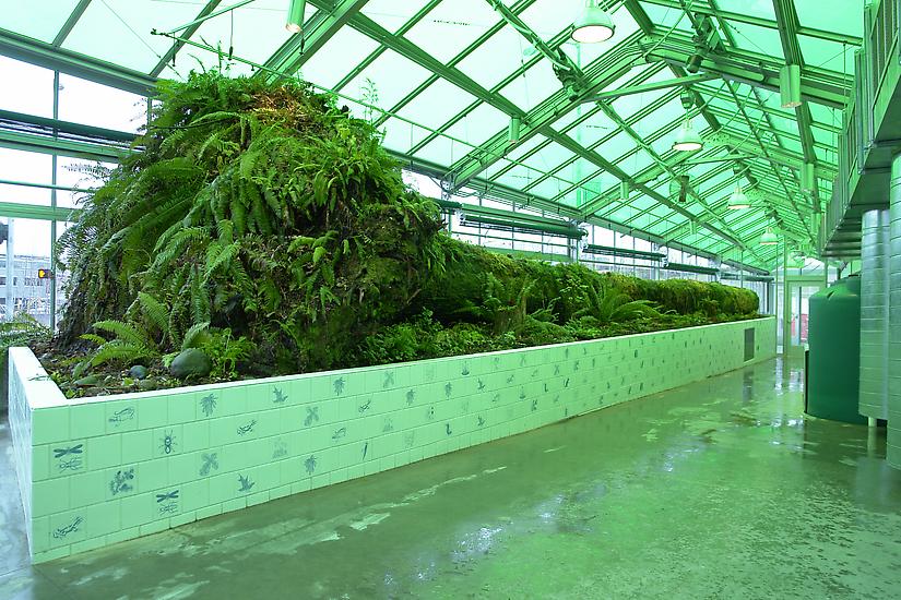 Mark DION Neukom Vivarium 2007 Mixed media install...