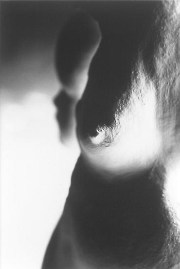 Peggy PREHEIM DNA #12 2004 black and white photogr...