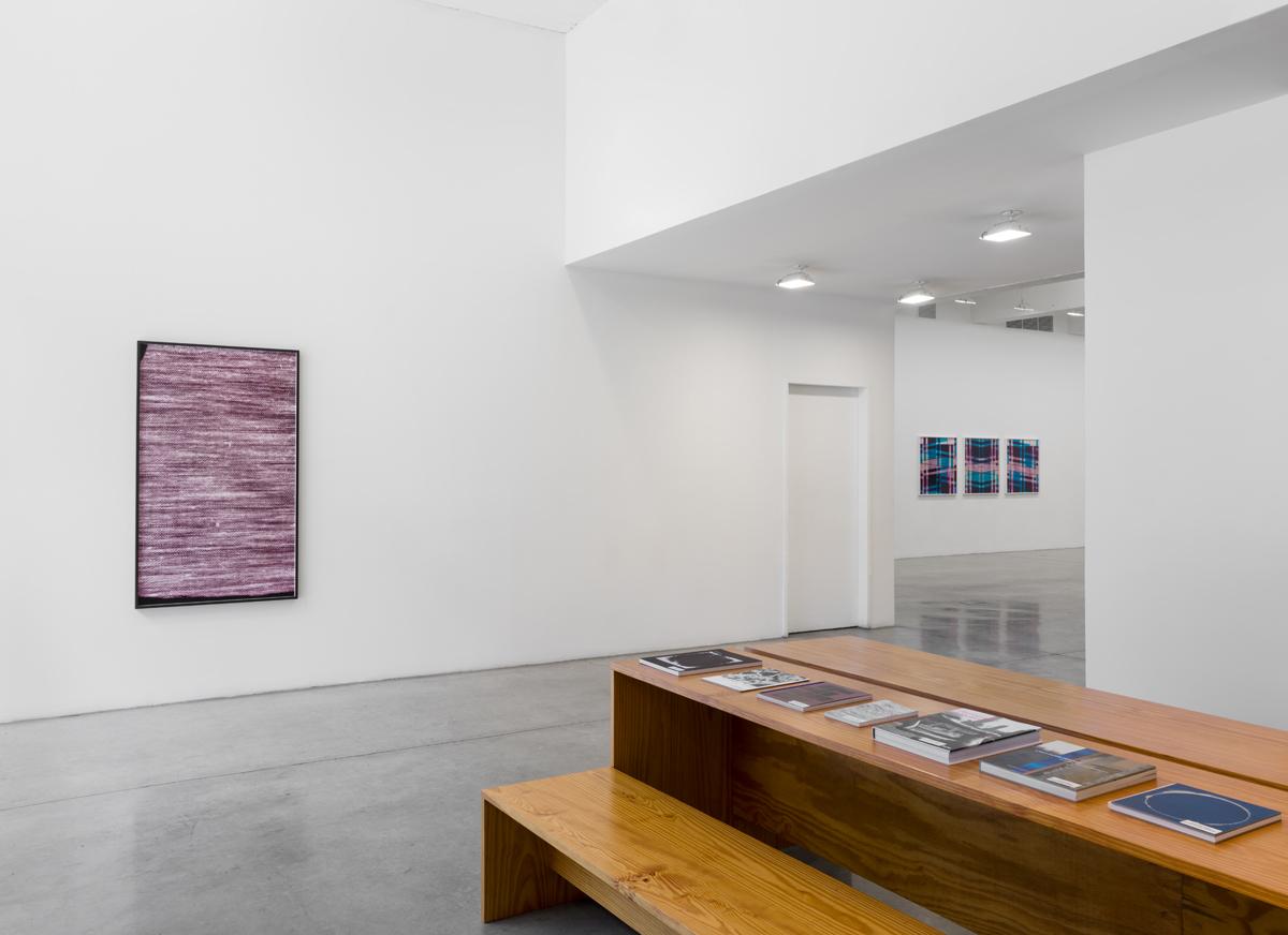 7 September - 21 October 2017 - - Lisa Oppenheim: A Durable Web - - Exhibitions