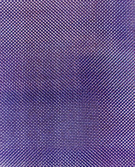 Lisa Oppenheim Fish Scale, Véritable Hollan...