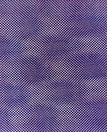 Lisa Oppenheim Fish Scale, Véritable Hollan...