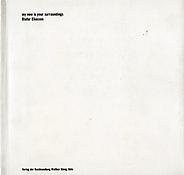 Olafur Eliasson: My Now is Your Surroundings